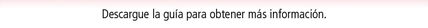 Descargue la guía para obtener más información.