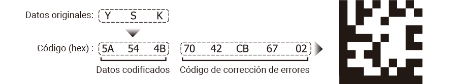 Orden de datos y código de corrección de errores