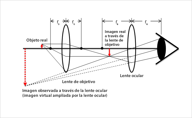 Principios de los microscopios