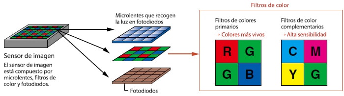 Sensor de imagen: El sensor de imagen está compuesto por microlentes, filtros de color y fotodiodos.
