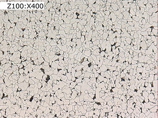 Observación de los límites de grano utilizando el Microscopio Digital 4K Serie VHX
