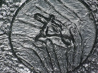 Iluminación múltiple (100×)
