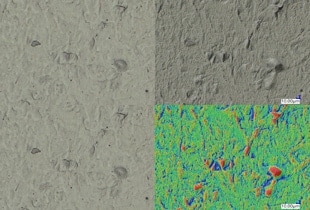 Observación y medición después de la pulverización térmica utilizando microscopios digitales