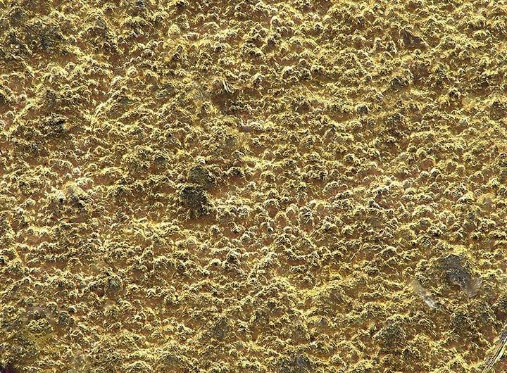 Superficie chapada en oro (1000x)