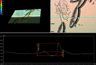 Observación y medición de semiconductores de potencia (dispositivos de potencia) utilizando microscopios digitales