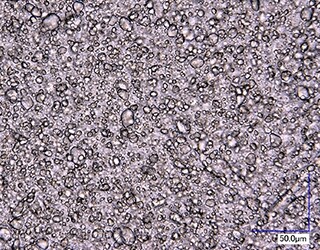 Observación de emulsión (1000x)