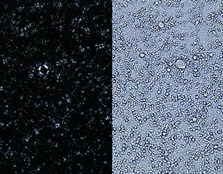 Observación de la emulsión con diferentes condiciones de iluminación
