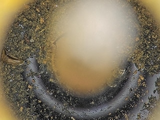 Microscopio convencional
