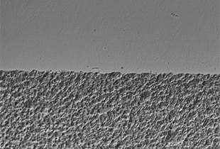 Observación de las partes de un reloj utilizando un Microscopio Digital