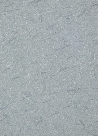 Microscopio convencional (200×)