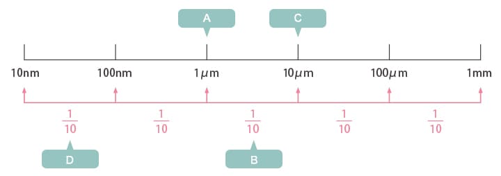 A: Bacterias B: Hongos C: Células humanas D: Virus