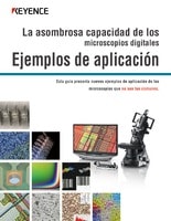 La asombrosa capacidad de los microscopios digitales Ejemplos de aplicación 1