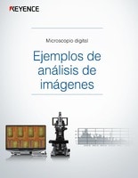 Microscopio digital Ejemplos de análisis de imágenes