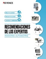 Recomendaciones de Los Expertos [Industria Automotriz]