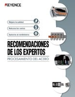 Recomendaciones de Los Expertos [Procesamiento del Acero]