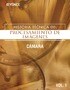 HISTORIA TÉCNICA DEL PROCESAMIENTO DE IMÁGENES Vol.1 [CÁMARA]
